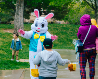 Image Placeholder (19)